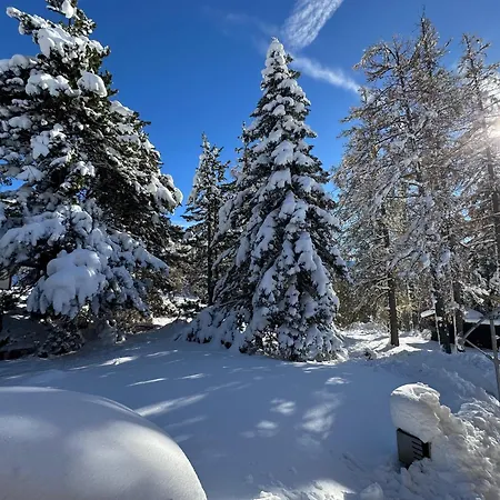 Montana Under The Stars Dağ evi *